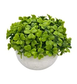 Artificial Mini Potted Plant Decor (Set Of 3) | Green Leaves Set | Fake Plants | Office Decor, Bathroom Decor, Farmhouse Decor, Kitchen Decor | Faux Topiary Decore | Home Decor Clearance 10 Artificial Mini Potted Plant Decor (Set Of 3) | Green Leaves Set | Fake Plants | Office Decor, Bathroom Decor, Farmhouse Decor, Kitchen Decor | Faux Topiary Decore | Home Decor Clearance -Green Leaf Store 41Mn7ryAyVL