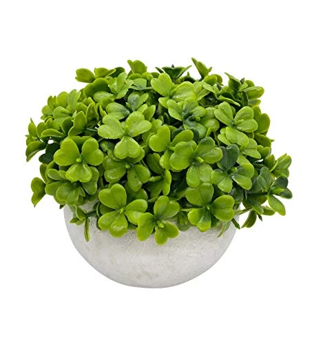 Artificial Mini Potted Plant Decor (Set Of 3) | Green Leaves Set | Fake Plants | Office Decor, Bathroom Decor, Farmhouse Decor, Kitchen Decor | Faux Topiary Decore | Home Decor Clearance 5 Artificial Mini Potted Plant Decor (Set Of 3) | Green Leaves Set | Fake Plants | Office Decor, Bathroom Decor, Farmhouse Decor, Kitchen Decor | Faux Topiary Decore | Home Decor Clearance - Image 5
