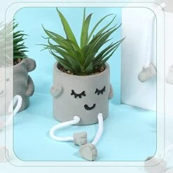 Iuuidu Artificial Potted Plant, Faux Succulent In Pot Emotional Cement Potted Plant Animated Artificial Succulents Decor For Home Living Room Bedroom And Office（Shy） -Green Leaf Store 41MqxQHn4nL