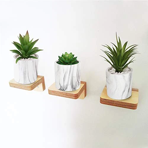 C APPOK Artificial Succulents Plants Faux Succulent Flocking Potted Plants - 4 Pack Fake Succulents Decorative Green Potted Plant In Pots For Home, Desk Decor, Office Decoration 5 C APPOK Artificial Succulents Plants Faux Succulent Flocking Potted Plants - 4 Pack Fake Succulents Decorative Green Potted Plant In Pots For Home, Desk Decor, Office Decoration - Image 5