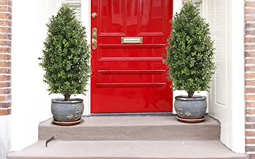 Momoplant 2.5FT-30Inch Artificial Plants Tree Shaped Boxwood Topiary Cone Topiaries Bushes Potted Fake Plants Outdoor/Indoor Decor(Set Of 2) 2 Momoplant 2.5FT-30Inch Artificial Plants Tree Shaped Boxwood Topiary Cone Topiaries Bushes Potted Fake Plants Outdoor/Indoor Decor(Set Of 2) - Image 2