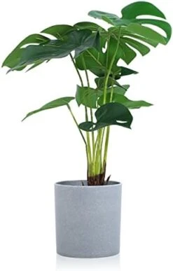 Meneco Small Fake Plant Potted - Faux Plant Indoor Plant Artificial Potted Plant Decor For Home And Office (16", Monstera Leaf) -Green Leaf Store 41NZO7jDD1L. AC