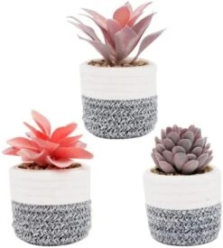 VIVERIE Rose Pink Faux Succulents In White Ceramic Pot Set Of 4 - Plant Gifts, Cute Aesthetic Pink Room, Home Decor Accents, Centerpieces, Bathroom Decor, Mum Gifts, Cactus Decor, Succulents Wedding 21 VIVERIE Rose Pink Faux Succulents In White Ceramic Pot Set Of 4 - Plant Gifts, Cute Aesthetic Pink Room, Home Decor Accents, Centerpieces, Bathroom Decor, Mum Gifts, Cactus Decor, Succulents Wedding -Green Leaf Store 41NmuAreYNL. AC