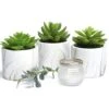 Kurrajong Farmhouse Artificial Succulent Plants In Pots | Mini Fake Plant For Shelves | Artificial Plants For Home Decor Indoor | Succulent Plants Artificial | Mini Plant Decor | Small Faux Plants -Green Leaf Store 41Nn0KOQN9L