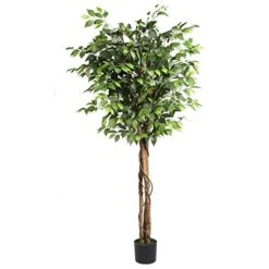 Cozy Castle Artificial Ficus Tree 71in - Faux Indoor Tree For Home Decor, Evergreen 6-Feet Tall Fake Tree Plant, Fake Floor Plant With Sturdy Plastic Nursery Pot For Living Room, Farmhouse, Office 12 Cozy Castle Artificial Ficus Tree 71in - Faux Indoor Tree For Home Decor, Evergreen 6-Feet Tall Fake Tree Plant, Fake Floor Plant With Sturdy Plastic Nursery Pot For Living Room, Farmhouse, Office -Green Leaf Store 41Ny7JsEO9L