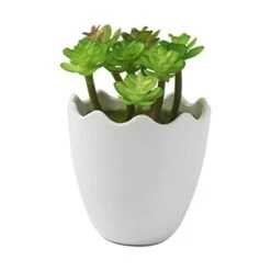 Myartte Artificial Succulent Plants Fake Succulents Mini Faux Plants For Home/Office Docor (Resin Pots) … -Green Leaf Store 41OBRMkXvNL