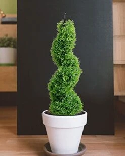 3ft Artificial Spiral Topiary,Faux Topiary Trees ,Artificial Boxwood Plants,Topiary Trees Artificial Outdoor 2 Pack,Fake Plant Green Decor For Outdoor And Indoor,Topiaries For Front Porch Set Of Two -Green Leaf Store 41OecXVKq3L