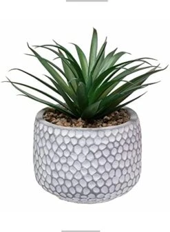 CADNLY Small Fake Plants In Pot - Artificial Succulents Plant For Desk - Small Faux Plants Indoor Modern Farmhouse Plants Artificial Decor – Potted Small Plants Decor For Bedroom Bathroom Office Shelf -Green Leaf Store 41OzM nEN0L. AC