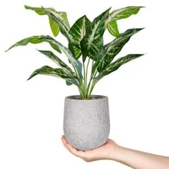 Der Rose 16'' Fake Plants Artificial Potted Greenery Faux Plants For Office Desk Home Bathroom Decor