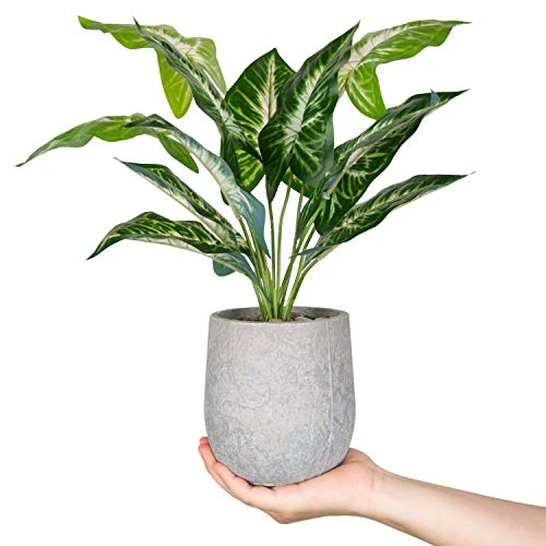 Der Rose 16'' Fake Plants Artificial Potted Greenery Faux Plants For Office Desk Home Bathroom Decor 1 Der Rose 16'' Fake Plants Artificial Potted Greenery Faux Plants For Office Desk Home Bathroom Decor