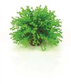 BiOrb Green Topiary Ball