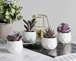 Tiita Artificial Faux Succulents In Pots Fake Plants Ceramic Arrangement Planter Small Mini Tiny Decoration For Home Office Desk Window Sill Bathroom Bedroom Outdoor Indoor 4 Set -Green Leaf Store 41PygYH7qAL