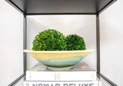 Admired By Nature Faux Preserved Artificial Boxwood Ball Plant, Small-3pcs, 3 Count -Green Leaf Store 41QEgFq913L