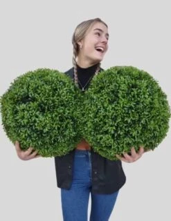 365 Curb Appeal Set Of 2 Large Topiary Balls (Better Than A Boxwood) 16 365 Curb Appeal Set Of 2 Large Topiary Balls (Better Than A Boxwood) -Green Leaf Store 41RxltrBLrL. AC