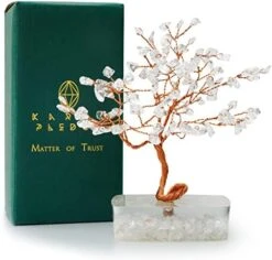 Handcrafted Healing Crystal Trees (Set Of 12), Bonsai Tree For Positive Energy & Chakra Balance, Feng Shui Tree Of Life, Perfect Home/Desk Decor, Reiki Good Luck Crystal Gifts By KarmaPledge -Green Leaf Store 41S8CdtPV2L. AC