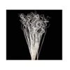 24-28" White Sparkle Curly Ting Ting Branch -Green Leaf Store 41ST9kPdZnL