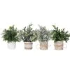 PENGYEE Artificial Topiaries Plants & Flowers, 4 Pcs Mini Plants Artificial Potted Set Fake Green Grass Plant Faux Plastic Topiary For Home Office Desk Bathroom Kitchen Counter Decoration (Mixed) -Green Leaf Store 41SUv8YXiuS