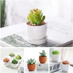 Happyhapi 12 Pcs Artificial Succulents Mini Fake Plants Unpotted Faux Succulent For Craft, Small Plastic Succulents Assortment In Flocked Green Floral Decor For Party, Cake, Garden & Outdoor -Green Leaf Store 41ScPG5UcoL