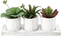 Briful Succulents Plants Artificial In Marble Pot Set Of 3 Small Fake Succulents Plants Faux Succulents With Wood Tray For Table Shelf Office Home Decorations 14 Briful Succulents Plants Artificial In Marble Pot Set Of 3 Small Fake Succulents Plants Faux Succulents With Wood Tray For Table Shelf Office Home Decorations -Green Leaf Store 41TAANAHHFS. AC