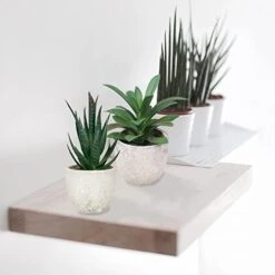 Memeaty Set Of 5 Small Fake Plants Artificial Rosemary Peppermint Plants Fake Succulents Plants In Pot For Home Office Decoration,Artficial Greenery Faux Plants Indoor For Table Shelf Decor 10 Memeaty Set Of 5 Small Fake Plants Artificial Rosemary Peppermint Plants Fake Succulents Plants In Pot For Home Office Decoration,Artficial Greenery Faux Plants Indoor For Table Shelf Decor -Green Leaf Store 41TXidBwAEL