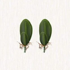 VOSAREA Artificial Orchid Leaves Fake Orchid Leaf Artificial Orchid Plant Fake Flower Leaf Home Office Wedding Christmas Decoration 2pcs Orchids Flowers Decoration Orchid Leaves Artificial -Green Leaf Store 41TrsF9L9ML