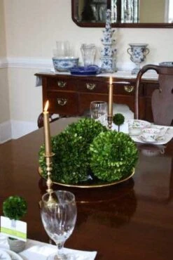 Mills Floral Company Boxwood Ball 8" 5 Mills Floral Company Boxwood Ball 8" -Green Leaf Store 41U2RiGZiaL