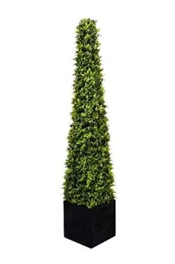 2 X Artificial Premium Quality Topiary Boxwood Pyramid Trees In Black Square Planter For Indoor Outdoor Decor, UV Stable (4ft/120cm) … -Green Leaf Store 41UNdVbSGfL