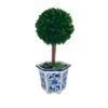 Galt International Preserved Boxwood Topiary Tree In Blue & White Ceramic Pot - Plant And Table Centerpiece - Stunning Greenery And Plant Decor For Home 5.9" Diameter Topiary 14" Tall 14 Galt International Preserved Boxwood Topiary Tree In Blue & White Ceramic Pot - Plant And Table Centerpiece - Stunning Greenery And Plant Decor For Home 5.9" Diameter Topiary 14" Tall -Green Leaf Store 41UjJxCPHuL