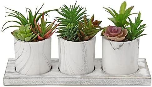 Briful Succulents Plants Artificial In Marble Pot Set Of 3 Small Fake Succulents Plants Faux Succulents With Wood Tray For Table Shelf Office Home Decorations 7 Briful Succulents Plants Artificial In Marble Pot Set Of 3 Small Fake Succulents Plants Faux Succulents With Wood Tray For Table Shelf Office Home Decorations - Image 7