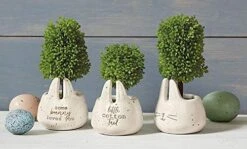 Mud Pie Little Pot Artificial Topiary -Green Leaf Store 41UuVsit6hL