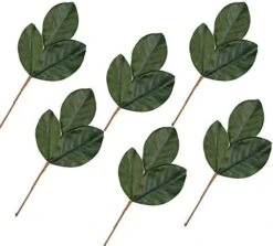Factory Direct Craft Artificial Magnolia Leaf Bush Realistic Faux Magnolia Leaves For Natural Look Greenery In Floral Designs, Wedding Decor, Home Decor, And Holiday Decorating -Green Leaf Store 41VFF5rH6jL. AC