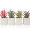 Sunprairie Classic Set Of 4 Faux Succulents 7β Tall In Ivory White Stucco Ceramic Pots-Realistic Multi Colored Artificial Succulents Plants For Home & Office Decor. 11 Sunprairie Classic Set Of 4 Faux Succulents 7β Tall In Ivory White Stucco Ceramic Pots-Realistic Multi Colored Artificial Succulents Plants For Home & Office Decor. -Green Leaf Store 41VUhs6srmL