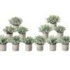 A Bundle Of 6pcs Mini Potted Fake Plants And 6pcs Mini Fake Plants Artificial Potted Plants Desk Plants For Home Office Farmhouse Bathroom Bedroom Decor -Green Leaf Store 41VhVT613oL