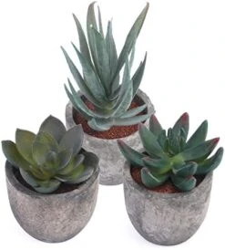 Iuuidu Artificial Potted Plant, Faux Succulent In Pot Emotional Cement Potted Plant Animated Artificial Succulents Decor For Home Living Room Bedroom And Office（Shy） -Green Leaf Store 41Vwt5ZL2EL. AC