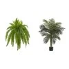 Nearly Natural 35” Boston Fern Artificial (Set Of 2) Silk Plants Green & 5357 4ft. Golden Cane Palm Tree,Green -Green Leaf Store 41XPhjOKpeL