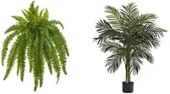Nearly Natural 35” Boston Fern Artificial (Set Of 2) Silk Plants Green -Green Leaf Store 41XPhjOKpeL. AC