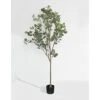 DIIGER Artificial Tree 6FT (72'') Tall Artificial Eucalyptus Tree, Fake Silver Dollar Leaves Faux Eucalyptus Stems, Mordern Artificial Tree Plants For Home Office Perfect Housewares Gift Decoration -Green Leaf Store 41XTEiqmtkL
