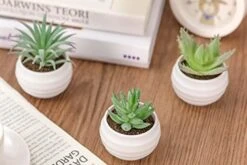 Der Rose 6 Packs Fake Succulents Plants Small Realistic Succulents Plants Artificial For Home Room Decor Indoor -Green Leaf Store 41Y1imdmpqL