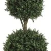 Allstate Floral & Craft 1 6'TRI Ball Boxwood TOP.(P) GRTT Greenery, 72-in, Two Tone Green -Green Leaf Store 41YY5w10wDL