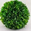 Tradingsmith Preserved Boxwood 6" Balls 11 Tradingsmith Preserved Boxwood 6" Balls -Green Leaf Store 41Yh4Np1eWL
