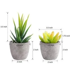 T4U Artificial Succulent Plants In Pot, Assorted Faxu Succulent Fake Cactus Cacti With Grey Pots For Decorative, Set Of 6 7 T4U Artificial Succulent Plants In Pot, Assorted Faxu Succulent Fake Cactus Cacti With Grey Pots For Decorative, Set Of 6 -Green Leaf Store 41Z0vGT4BZL