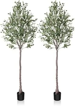Dr.Planzen Artificial Olive Tree,7FT Tall Fake Plant Faux Olive Plants For Indoor,Natural Fake Tree,Artificial Silk Plants For Office Home Living Room Floor Patio Greening Porch Decor,Set Of 1. 23 Dr.Planzen Artificial Olive Tree,7FT Tall Fake Plant Faux Olive Plants For Indoor,Natural Fake Tree,Artificial Silk Plants For Office Home Living Room Floor Patio Greening Porch Decor,Set Of 1. -Green Leaf Store 41Z1yFJK38L. AC