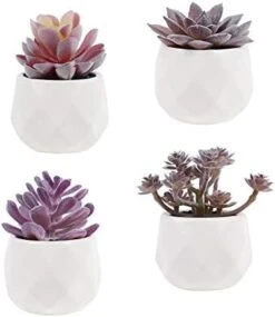 Tiita Artificial Faux Succulents In Pots Fake Plants Ceramic Arrangement Planter Small Mini Tiny Decoration For Home Office Desk Window Sill Bathroom Bedroom Outdoor Indoor 4 Set -Green Leaf Store 41Z89m4IOL. AC