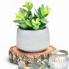 Kurrajong Farmhouse Faux Succulent In Pot - Faux Plants Decor - 7" X 4.5" - Feaux Plant In Pot - Fake Succulent Potted Plant For Home Decor Indoor -Green Leaf Store 41ZD336pWIL
