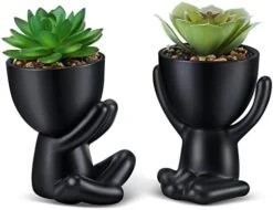 WOODWORD Fake Succulent, Mini Succulents Plants Artificial In Black Modern Human Shaped Ceramic Pots Cute Desk Decor For Office Decor For Women, Bathroom 2PCS 18 WOODWORD Fake Succulent, Mini Succulents Plants Artificial In Black Modern Human Shaped Ceramic Pots Cute Desk Decor For Office Decor For Women, Bathroom 2PCS -Green Leaf Store 41ZYxcblHL. AC
