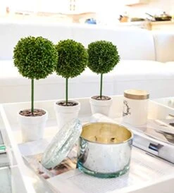 Admired By Nature 9" H Artificial Boxwood Ball Topiary Plant Tabletop, Set Of 3, 3 Count -Green Leaf Store 41ZhCCDmK1L