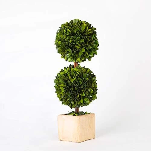 Boxwoodworld Preserved Boxwood Green Plant For Home Decor Classic Ball On Pot Design 10 Inch Hight (boxwood Leaves) 9 Boxwoodworld Preserved Boxwood Green Plant For Home Decor Classic Ball On Pot Design 10 Inch Hight (boxwood Leaves) - Image 9