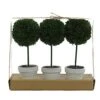 Admired By Nature 9" H Artificial Boxwood Ball Topiary Plant Tabletop, Set Of 3, 3 Count 24 Admired By Nature 9" H Artificial Boxwood Ball Topiary Plant Tabletop, Set Of 3, 3 Count -Green Leaf Store 41axe11nGqL