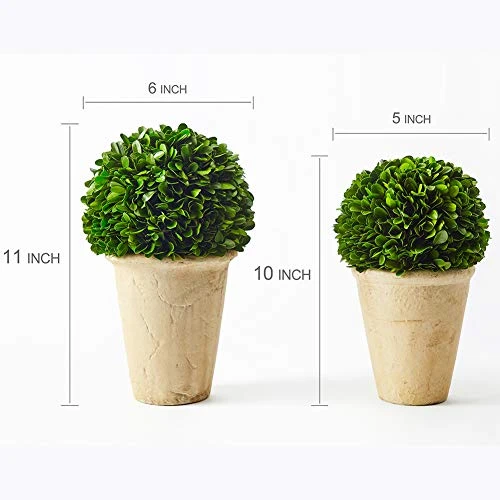 Boxwoodworld Preserved Boxwood Green Plant For Home Decor Classic Ball On Pot Design 10 Inch Hight (boxwood Leaves) 2 Boxwoodworld Preserved Boxwood Green Plant For Home Decor Classic Ball On Pot Design 10 Inch Hight (boxwood Leaves) - Image 2