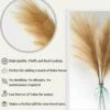 Boho Wish Faux Pampas Grass Decor Tall Set Of 7 PCs -40 Inches Non-Shedding, Floor And Office Vase Filling-Fluffy Floral Branches -Wedding Decor- Home And Bedroom Table Decoration (Brown) 22 Boho Wish Faux Pampas Grass Decor Tall Set Of 7 PCs -40 Inches Non-Shedding, Floor And Office Vase Filling-Fluffy Floral Branches -Wedding Decor- Home And Bedroom Table Decoration (Brown) -Green Leaf Store 41bHXioFsYL